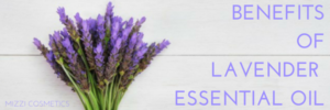 Lavender Essential Oil Benefits and Uses